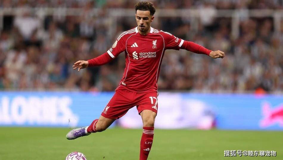 英超球队引进新外援，实力进一步强化的简单介绍