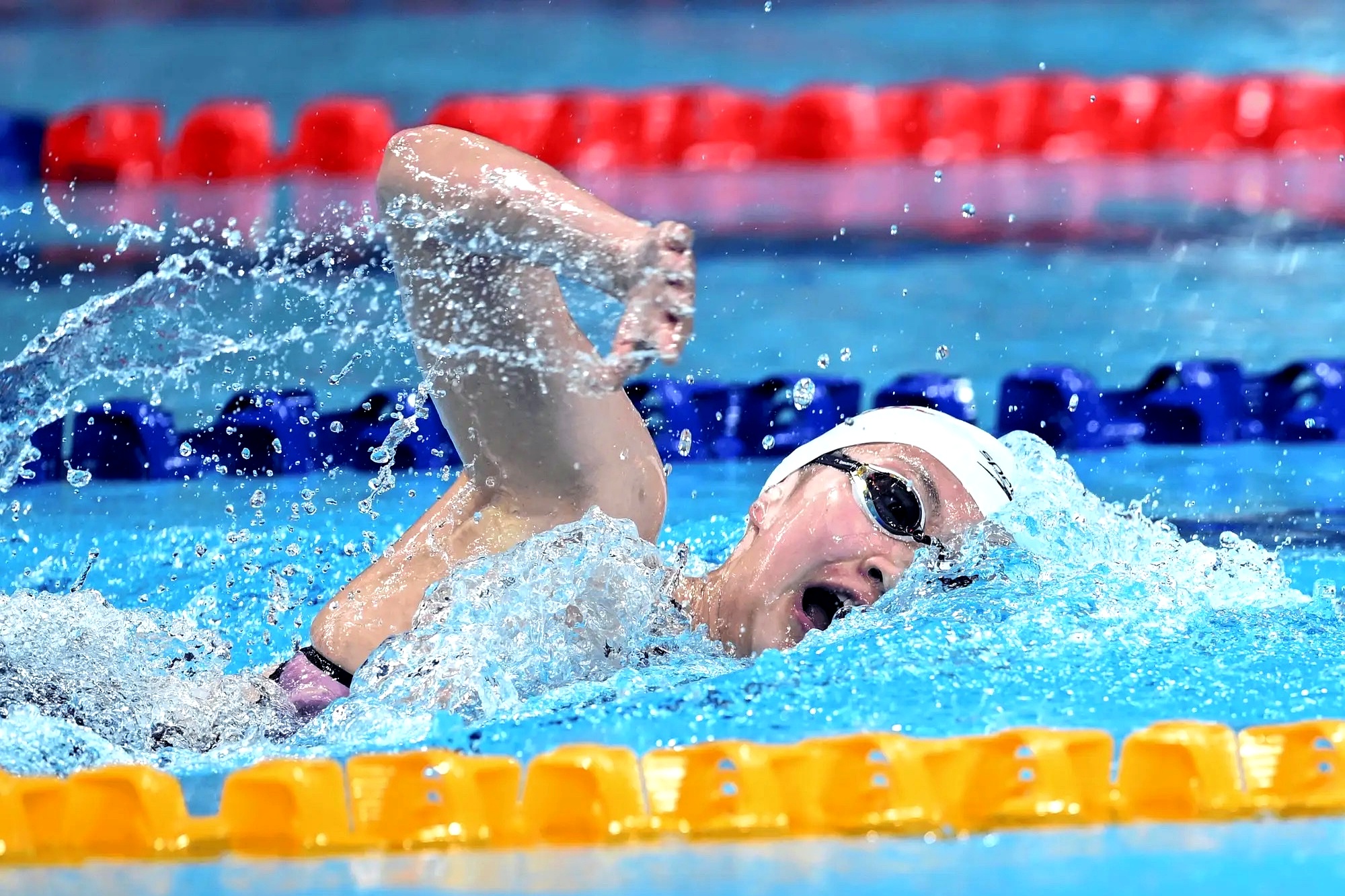 游泳比赛中一位新秀闯入前三 游泳比赛中一位新秀闯入前三