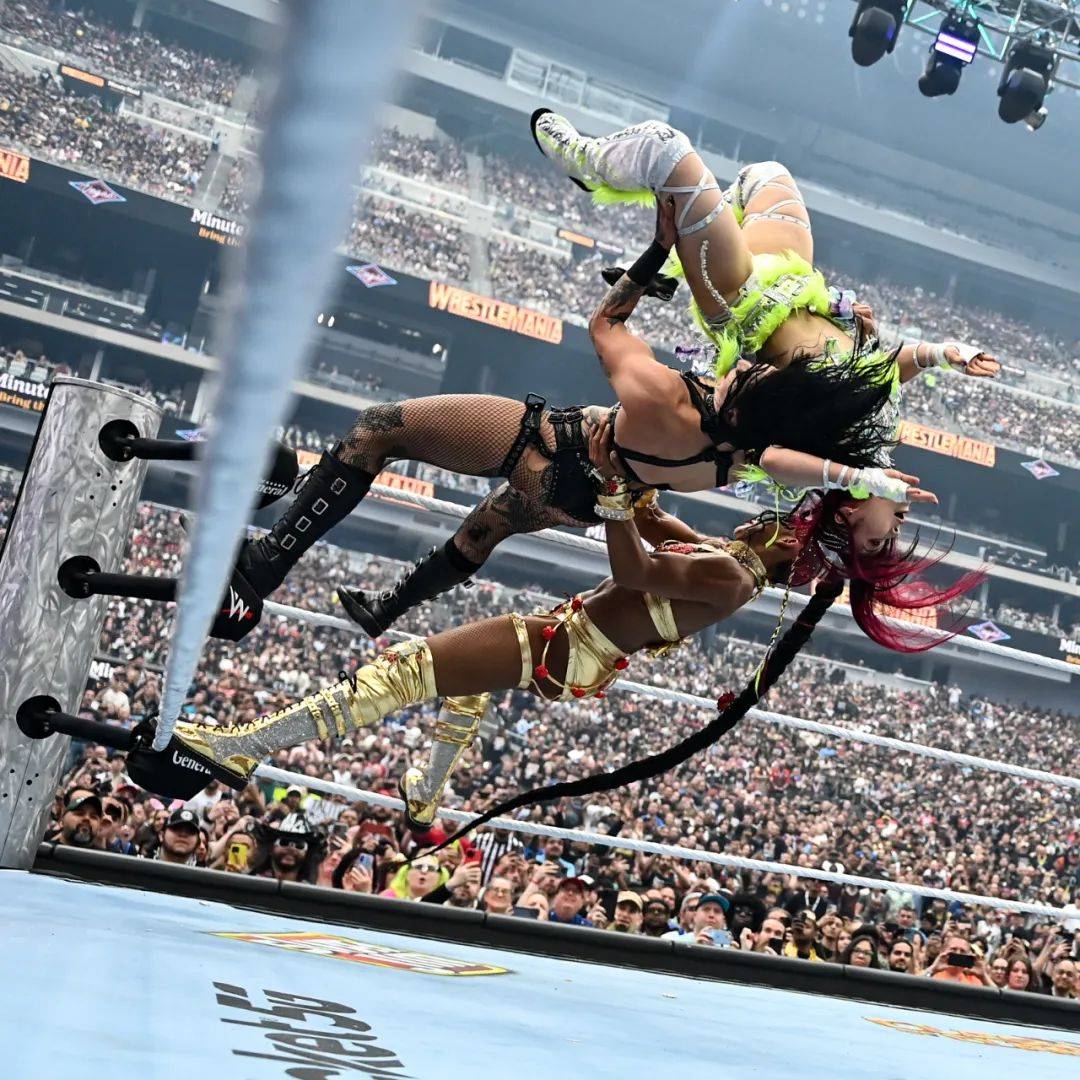 法国选手表现抢眼，斩获摔跤比赛冠军的简单介绍