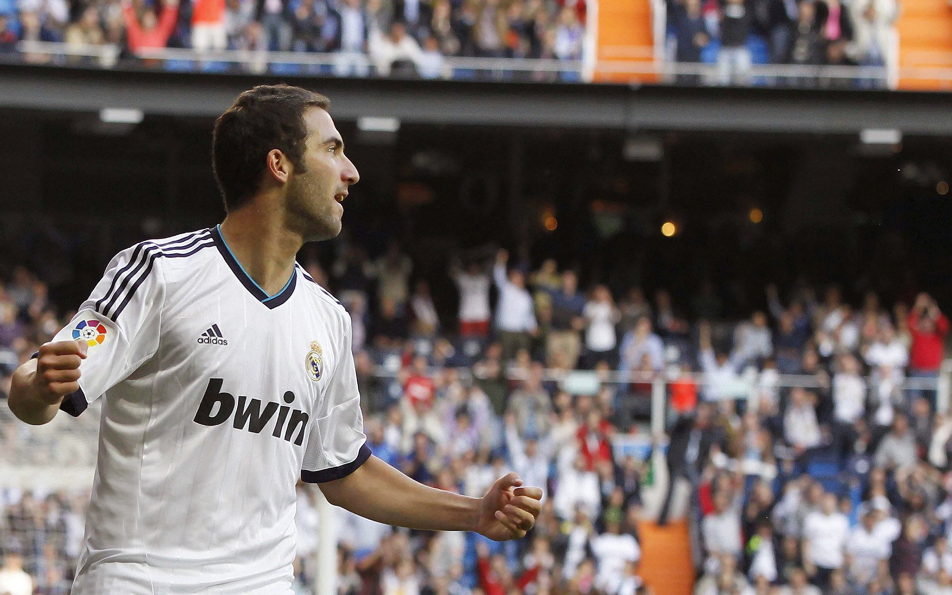 九游娱乐-赛道上的孤勇者，诺里斯独扛大旗，雷诺险胜哈斯的背后